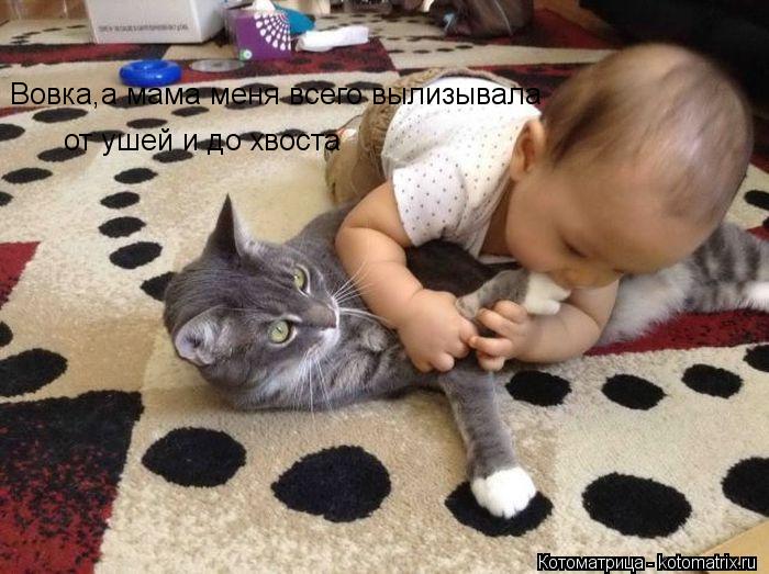 Вовка,а мама меня всего вылизывала от ушей и до хвоста... Котоматрица: Вовка,а мама меня всего вылизывала от ушей и до хвоста