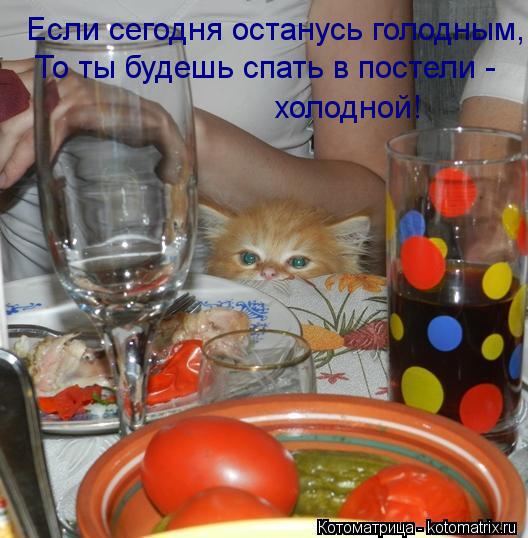 Если сегодня останусь голодным, То ты будешь спать в постели - холодной!... Котоматрица: Если сегодня останусь голодным, То ты будешь спать в постели - холодной!