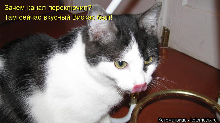 Зачем канал переключил? Там сейчас вкусный Вискас был!... Котоматрица: Зачем канал переключил? Там сейчас вкусный Вискас был!