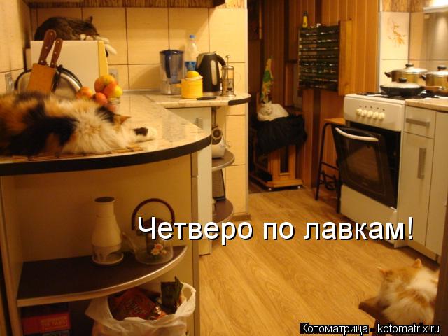 Котоматрица: Четверо по лавкам!