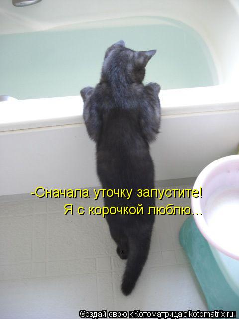 Котоматрица: -Сначала уточку запустите! Я с корочкой люблю...