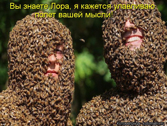 Котоматрица: Вы знаете,Лора, я кажется улавливаю полет вашей мысли!