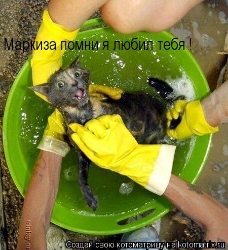 Маркиза помни я любил тебя !... Котоматрица: Маркиза помни я любил тебя !