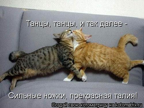 Танцы, танцы, и так далее - Танцы, танцы, и так далее - Сильные ножки, прекрасная талия! Сильные но... Котоматрица: Танцы, танцы, и так далее - Танцы, танцы, и так далее - Сильные ножки, прекрасная талия! Сильные ножки, прекрасная талия!
