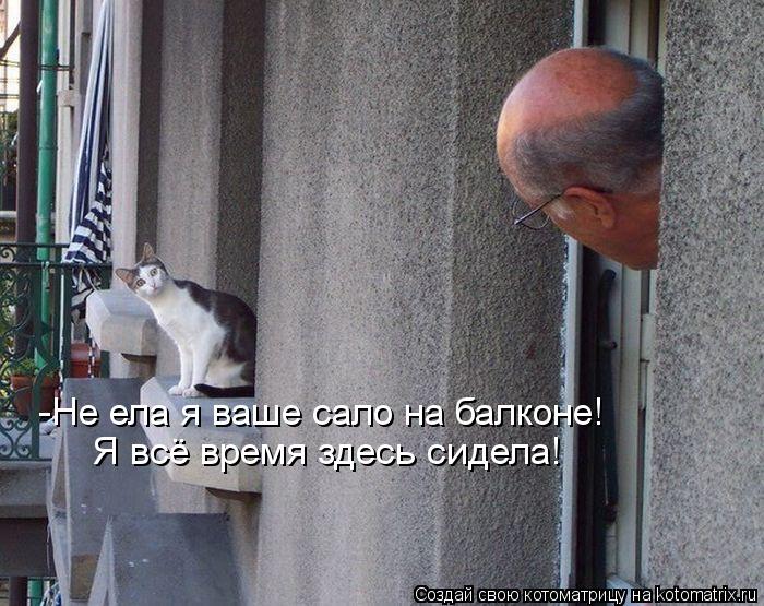 -Не ела я ваше сало на балконе! Я всё время здесь сидела!... Котоматрица: -Не ела я ваше сало на балконе! Я всё время здесь сидела!