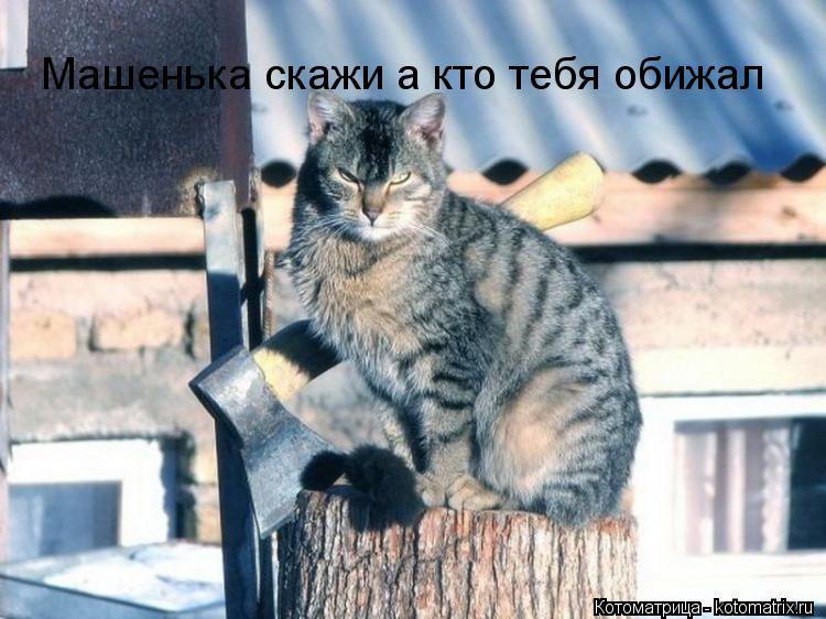 Машенька скажи а кто тебя обижал... Котоматрица: Машенька скажи а кто тебя обижал