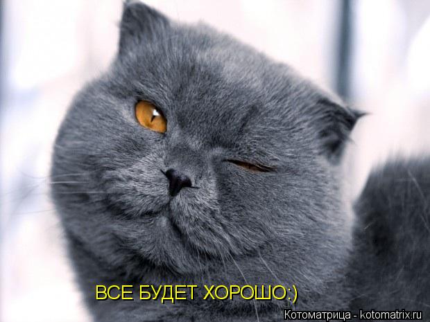 Котоматрица: ВСЕ БУДЕТ ХОРОШО:)