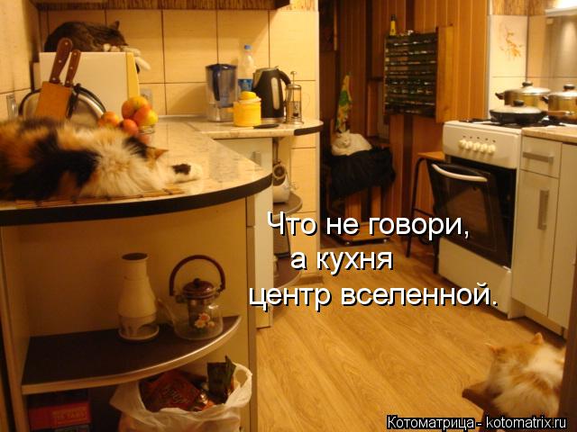 Котоматрица: Что не говори, а кухня центр вселенной.