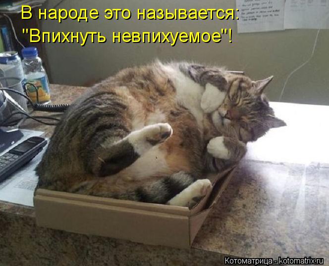 В народе это называется: "Впихнуть невпихуемое"!... Котоматрица: В народе это называется: "Впихнуть невпихуемое"!