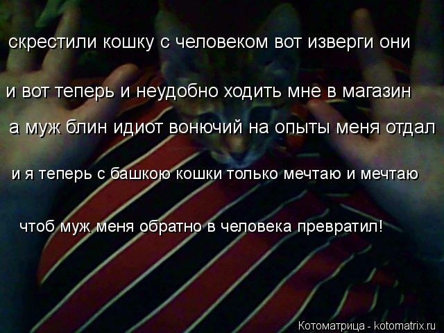Котоматрица: скрестили кошку с человеком вот изверги они и вот теперь и неудобно ходить мне в магазин а муж блин идиот вонючий на опыты меня отдал  и я те