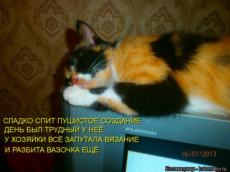 Котоматрица: ДЕНЬ БЫЛ ТРУДНЫЙ У НЕЁ У ХОЗЯЙКИ ВСЁ ЗАПУТАЛА ВЯЗАНИЕ И РАЗБИТА ВАЗОЧКА ЕЩЁ СЛАДКО СПИТ ПУШИСТОЕ СОЗДАНИЕ