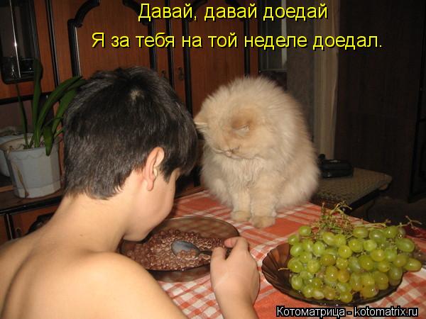 Котоматрица: Давай, давай доедай Я за тебя на той неделе доедал.