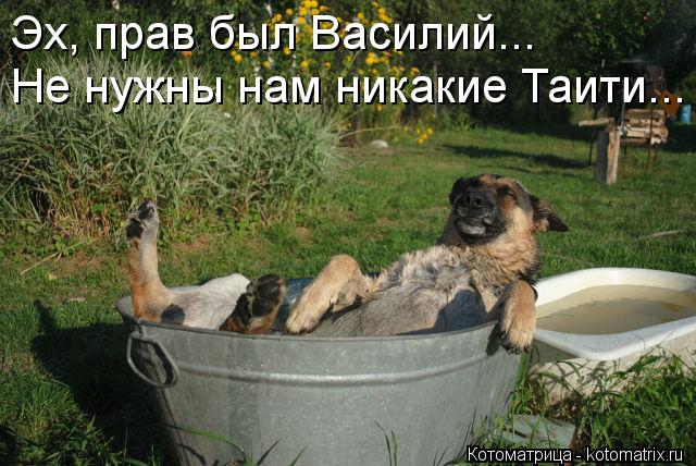 Не нужны нам никакие Таити... Эх, прав был Василий...... Котоматрица: Не нужны нам никакие Таити... Эх, прав был Василий...