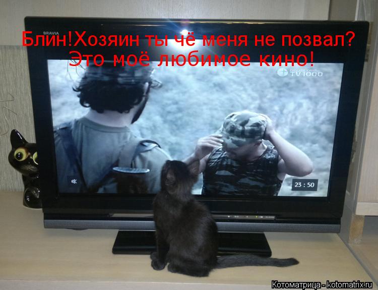 Блин!Хозяин ты чё меня не позвал? Это моё любимое кино!... Котоматрица: Блин!Хозяин ты чё меня не позвал? Это моё любимое кино!
