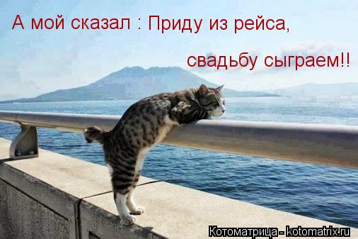 А мой сказал : Приду из рейса, свадьбу сыграем!!... Котоматрица: А мой сказал : Приду из рейса, свадьбу сыграем!!