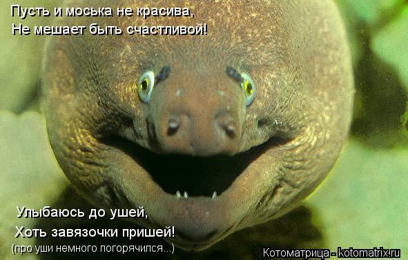 Пусть и моська не красива, Не мешает быть счастливой! Улыбаюсь до ушей, Хоть завязочки пришей! (про у... Котоматрица: Пусть и моська не красива, Не мешает быть счастливой! Улыбаюсь до ушей, Хоть завязочки пришей! (про уши немного погорячился...)