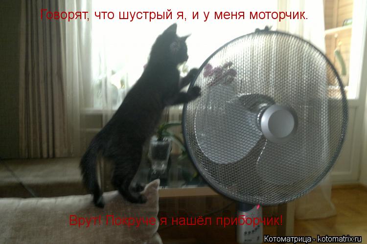 Говорят, что шустрый я, и у меня моторчик. Врут! Покруче я нашёл приборчик!... Котоматрица: Говорят, что шустрый я, и у меня моторчик. Врут! Покруче я нашёл приборчик!
