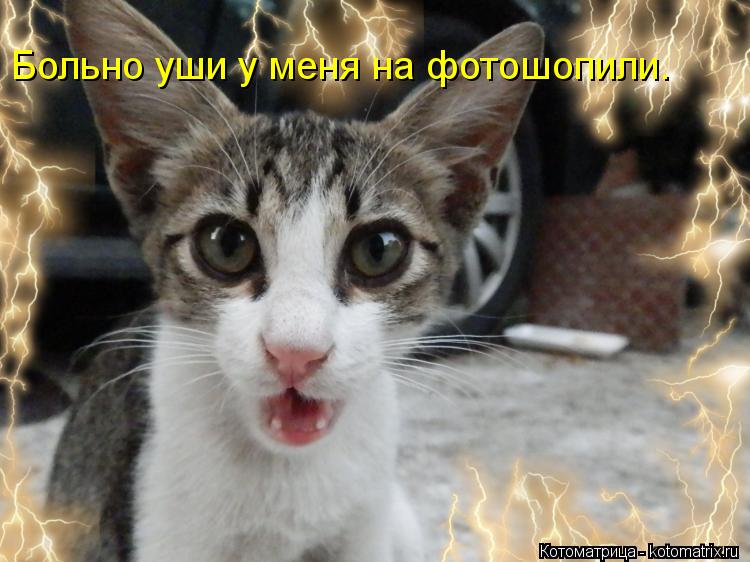Больно уши у меня на фотошопили.... Котоматрица: Больно уши у меня на фотошопили.
