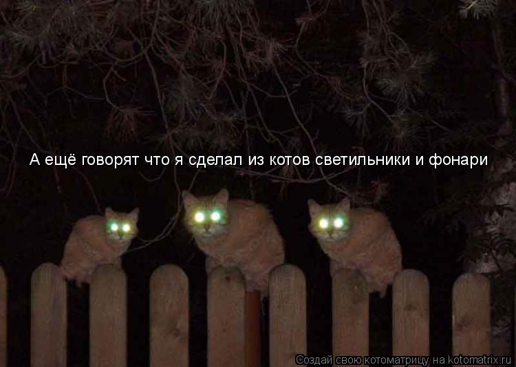 А ещё говорят что я сделал из котов светильники и фонари... Котоматрица: А ещё говорят что я сделал из котов светильники и фонари