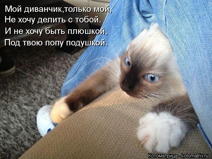 Мой диванчик,только мой, Не хочу делить с тобой. И не хочу быть плюшкой, Под твою попу подушкой.... Котоматрица: Мой диванчик,только мой, Не хочу делить с тобой. И не хочу быть плюшкой, Под твою попу подушкой.