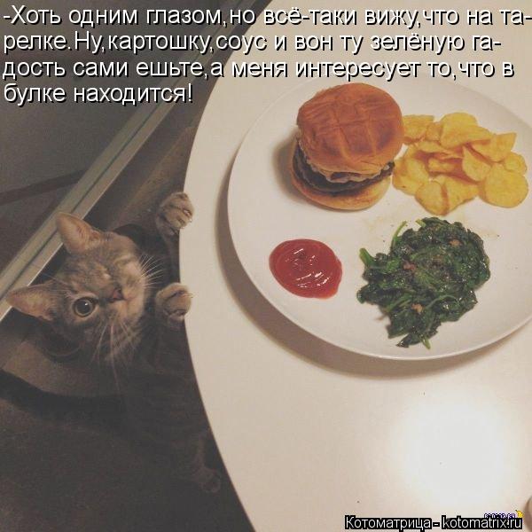 -Хоть одним глазом,но всё-таки вижу,что на та- релке.Ну,картошку,соус и вон ту зелёную га- дость сами... Котоматрица: -Хоть одним глазом,но всё-таки вижу,что на та- релке.Ну,картошку,соус и вон ту зелёную га- дость сами ешьте,а меня интересует то,что в булке на