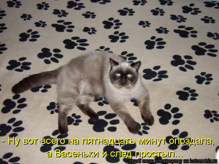 - Ну вот всего на пятнадцать минут опоздала, а Васеньки и след простыл...... Котоматрица: - Ну вот всего на пятнадцать минут опоздала, а Васеньки и след простыл...