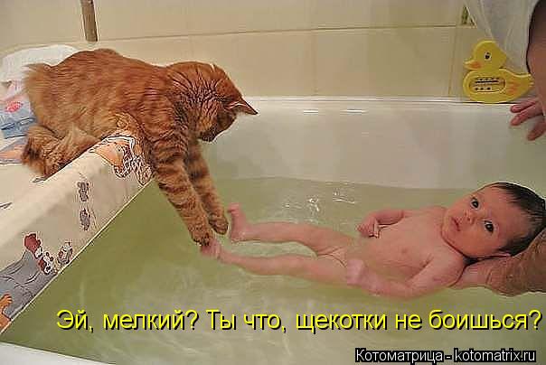 Эй, мелкий? Ты что, щекотки не боишься?... Котоматрица: Эй, мелкий? Ты что, щекотки не боишься?