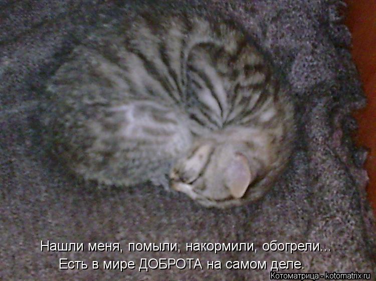 Есть в мире ДОБРОТА на самом деле. Нашли меня, помыли, накормили, обогрели...... Котоматрица: Есть в мире ДОБРОТА на самом деле. Нашли меня, помыли, накормили, обогрели...