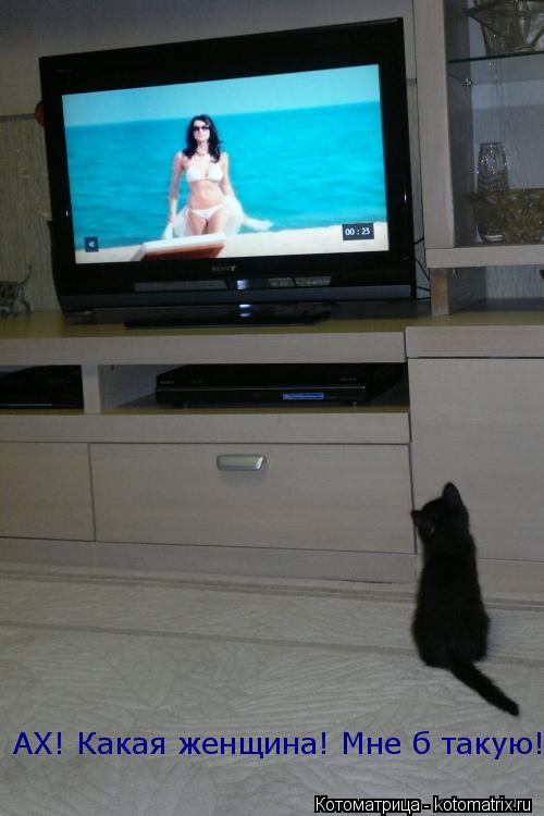 АХ! Какая женщина! Мне б такую!... Котоматрица: АХ! Какая женщина! Мне б такую!
