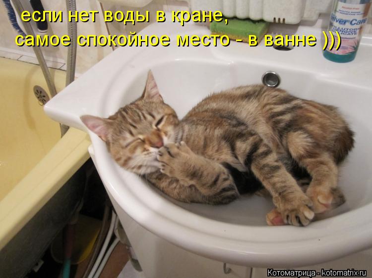 если нет воды в кране, если нет воды в кране, самое спокойное место - в ванне )))... Котоматрица: если нет воды в кране, если нет воды в кране, самое спокойное место - в ванне )))