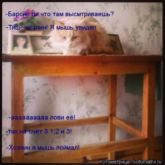 -Барсик ты что там высмтриваешь? -Тише хозяин! Я мышь увидел -аааааааааа лови её! -так на счёт 3 1,2 ... Котоматрица: -Барсик ты что там высмтриваешь? -Тише хозяин! Я мышь увидел -аааааааааа лови её! -так на счёт 3 1,2 и 3! -Хозяин я мышь поймал!