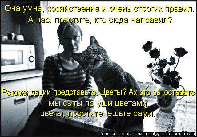 Она умна, хозяйственна и очень строгих правил. А вас, простите, кто сюда направил? Рекомендации предс... Котоматрица: Она умна, хозяйственна и очень строгих правил. А вас, простите, кто сюда направил? Рекомендации представьте. Цветы? Ах это вы оставьте... мы сы
