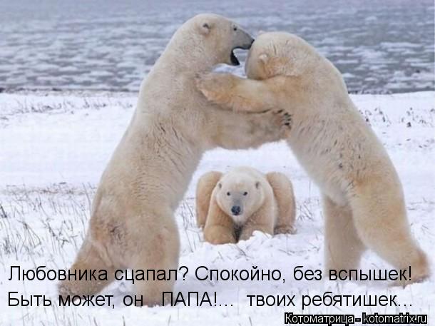 Любовника сцапал? Спокойно, без вспышек! Быть может, он ПАПА!... твоих ребятишек...... Котоматрица: Любовника сцапал? Спокойно, без вспышек! Быть может, он ПАПА!... твоих ребятишек...