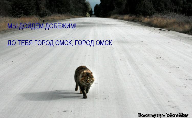 МЫ ДОЙДЁМ ДОБЕЖИМ! ДО ТЕБЯ ГОРОД ОМСК, ГОРОД ОМСК... Котоматрица: МЫ ДОЙДЁМ ДОБЕЖИМ! ДО ТЕБЯ ГОРОД ОМСК, ГОРОД ОМСК
