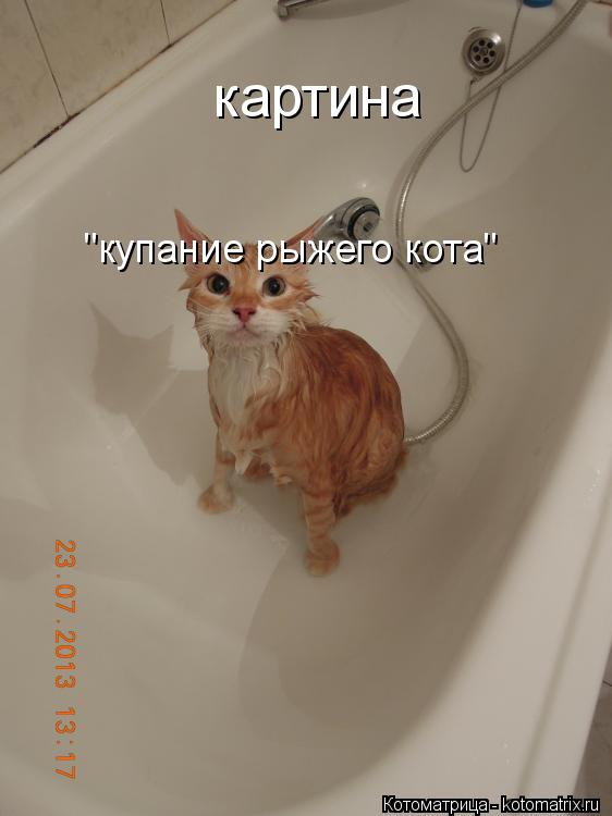 картина "купание рыжего кота"... Котоматрица: картина "купание рыжего кота"