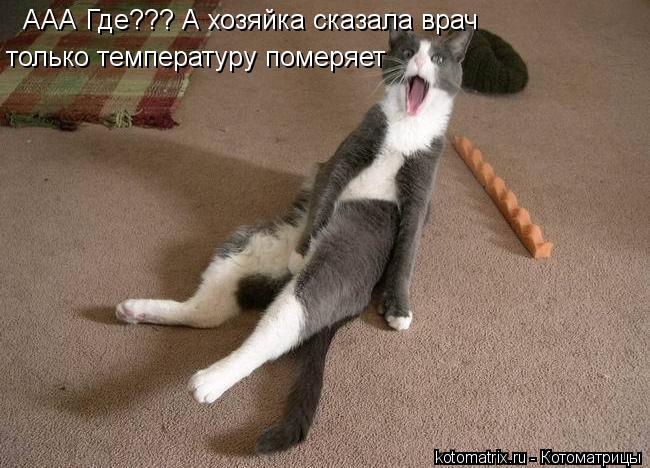ААА Где??? А хозяйка сказала врач только температуру померяет... Котоматрица: ААА Где??? А хозяйка сказала врач только температуру померяет