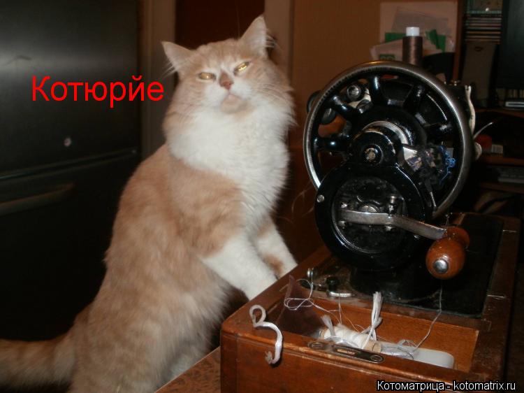 Котюрйе... Котоматрица: Котюрйе
