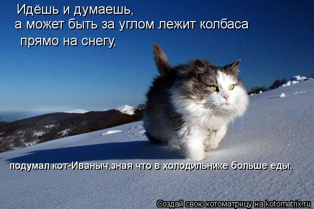 Идёшь и думаешь, а может быть за углом лежит колбаса прямо на снегу, подумал кот-Иваныч,зная что в ... Котоматрица: Идёшь и думаешь, а может быть за углом лежит колбаса прямо на снегу, подумал кот-Иваныч,зная что в холодильнике больше еды.