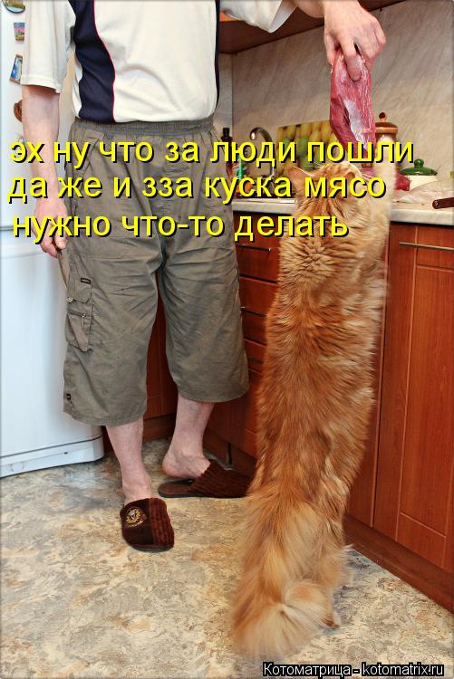 эх ну что за люди пошли да же и зза куска мясо нужно что-то делать... Котоматрица: эх ну что за люди пошли да же и зза куска мясо нужно что-то делать