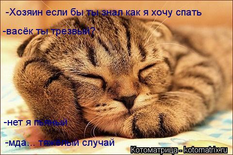 -Хозяин если бы ты знал как я хочу спать -васёк ты трезвый? -нет я пьяный -мда... тяжёлый случай... Котоматрица: -Хозяин если бы ты знал как я хочу спать -васёк ты трезвый? -нет я пьяный -мда... тяжёлый случай