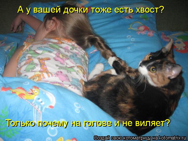 А у вашей дочки тоже есть хвост? Только почему на голове и не виляет?... Котоматрица: А у вашей дочки тоже есть хвост? Только почему на голове и не виляет?
