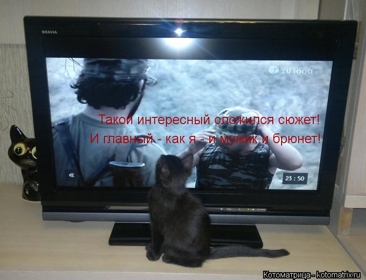 Такой интересный сложился сюжет! И главный - как я - и мужик и брюнет!... Котоматрица: Такой интересный сложился сюжет! И главный - как я - и мужик и брюнет!