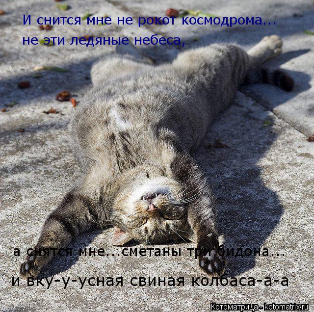 И снится мне не рокот космодрома... а снятся мне...сметаны три бидона... и вку-у-усная свиная колбаса... Котоматрица: И снится мне не рокот космодрома... а снятся мне...сметаны три бидона... и вку-у-усная свиная колбаса-а-а не эти ледяные небеса,