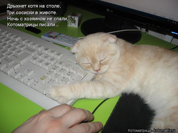 Дрыхнет котя на столе, Три сосиски в животе. Ночь с хозяином не спали, Котоматрицы писали.... Котоматрица: Дрыхнет котя на столе, Три сосиски в животе. Ночь с хозяином не спали, Котоматрицы писали.