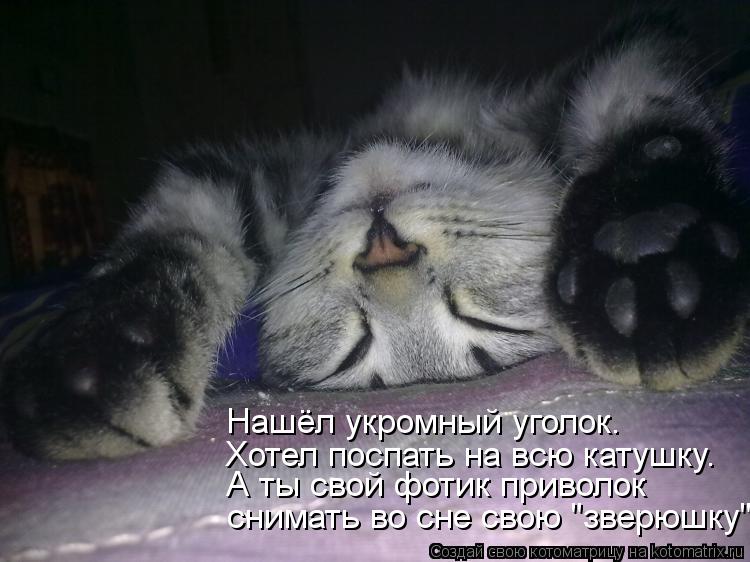 Хотел поспать на всю катушку. А ты свой фотик приволок снимать во сне свою "зверюшку"... Нашёл укромн... Котоматрица: Хотел поспать на всю катушку. А ты свой фотик приволок снимать во сне свою "зверюшку"... Нашёл укромный уголок.