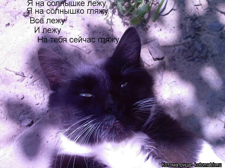 Я на солнышке лежу, Я на солнышко гляжу. Всё лежу И лежу На тебя сейчас гляжу.... Котоматрица: Я на солнышке лежу, Я на солнышко гляжу. Всё лежу И лежу На тебя сейчас гляжу.