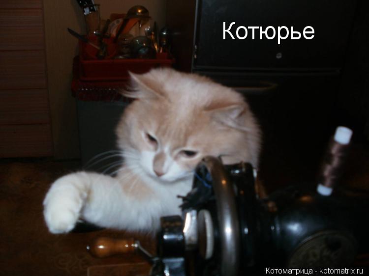 Котюрье... Котоматрица: Котюрье