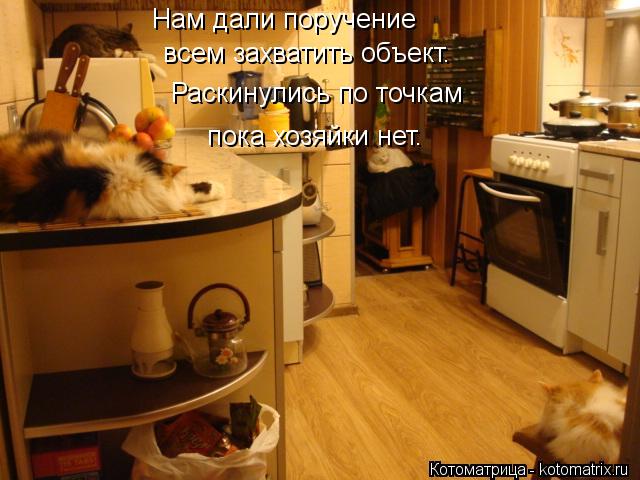 Нам дали поручение всем захватить объект. Раскинулись по точкам пока хозяйки нет.... Котоматрица: Нам дали поручение всем захватить объект. Раскинулись по точкам пока хозяйки нет.