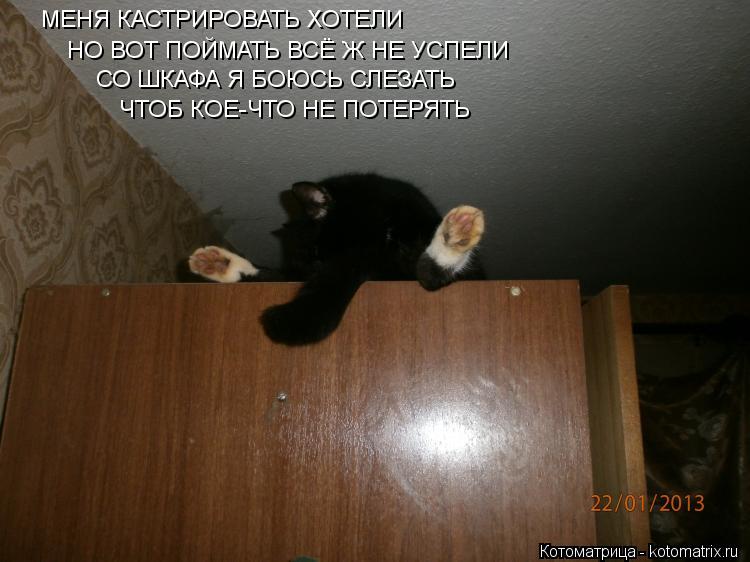 МЕНЯ КАСТРИРОВАТЬ ХОТЕЛИ НО ВОТ ПОЙМАТЬ ВСЁ Ж НЕ УСПЕЛИ СО ШКАФА Я БОЮСЬ СЛЕЗАТЬ ЧТОБ КОЕ-ЧТО НЕ ПОТЕ... Котоматрица: МЕНЯ КАСТРИРОВАТЬ ХОТЕЛИ НО ВОТ ПОЙМАТЬ ВСЁ Ж НЕ УСПЕЛИ СО ШКАФА Я БОЮСЬ СЛЕЗАТЬ ЧТОБ КОЕ-ЧТО НЕ ПОТЕРЯТЬ