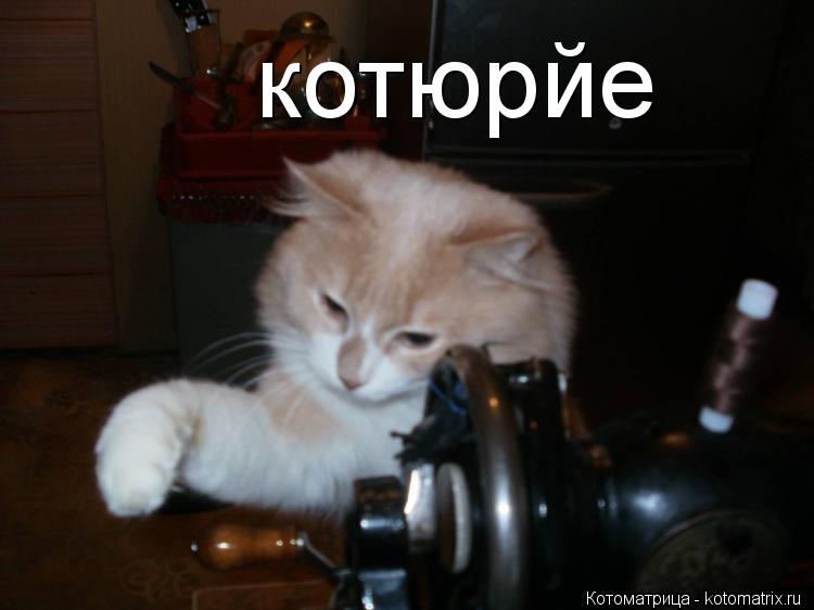 котюрйе... Котоматрица: котюрйе